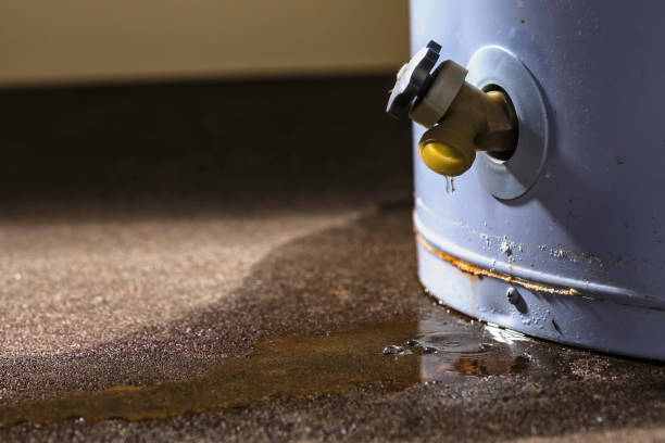  North Kansas City, MO Water damage restoration Pros