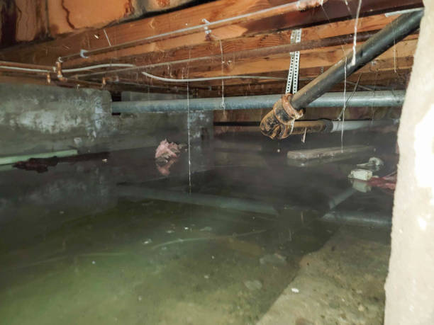 Best Water damage contractors near me  in North Kansas City, MO