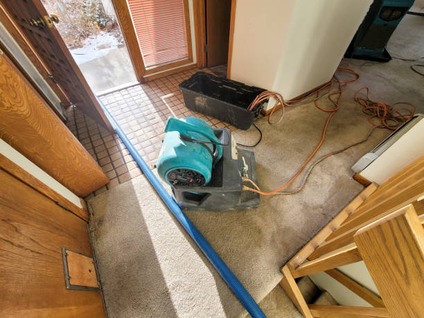 Best Water damage restoration near me  in North Kansas City, MO