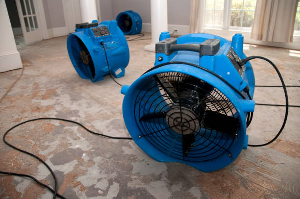 Best 24/7 water damage repair  in North Kansas City, MO