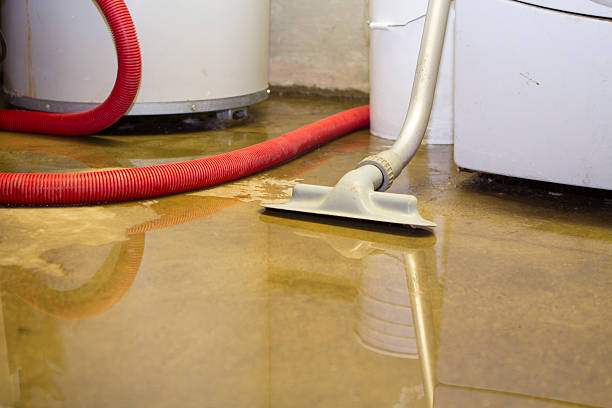 Best Sewage cleanup and water damage restoration  in North Kansas City, MO
