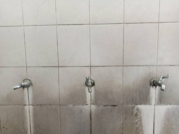 Best Carpet water damage restoration  in North Kansas City, MO